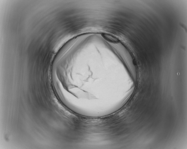 X0000099581382200806131308