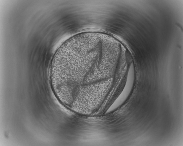 X0000099581383200806131308