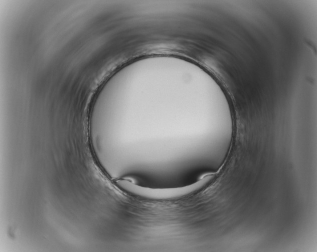 X0000099581384200806131308