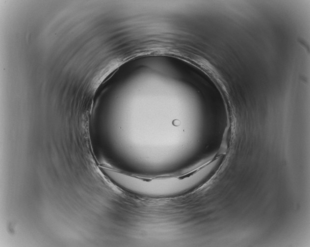 X0000099581385200806131308