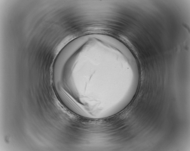 X0000099581386200806131308