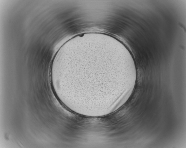 X0000099581387200806131308