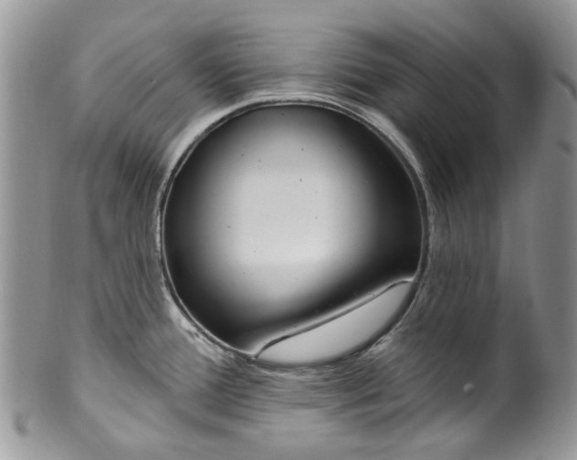 X0000099581388200806131308