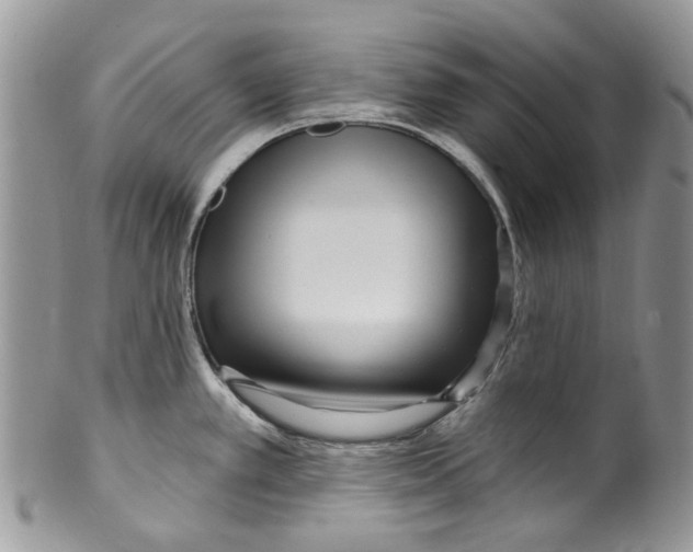 X0000099581389200806131308