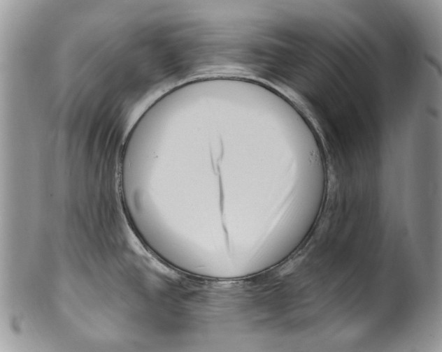 X0000099581390200806131308