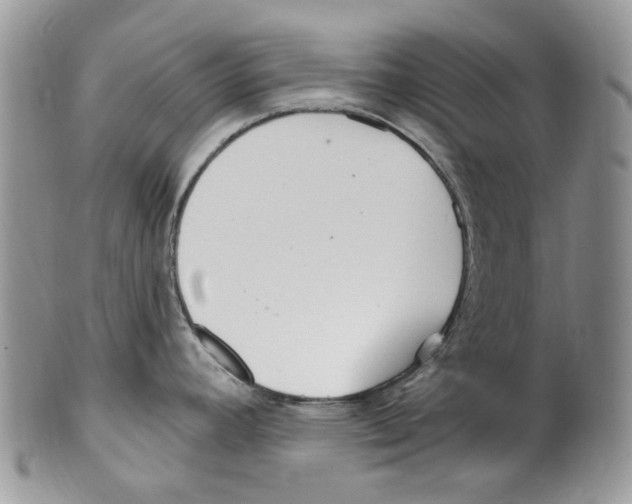 X0000099581392200806131308