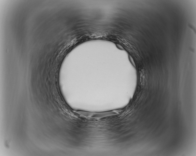 X0000099581393200806131308