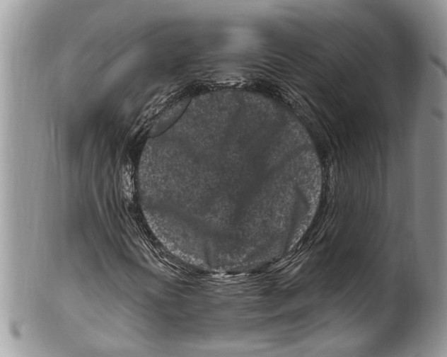 X0000099581394200806131308