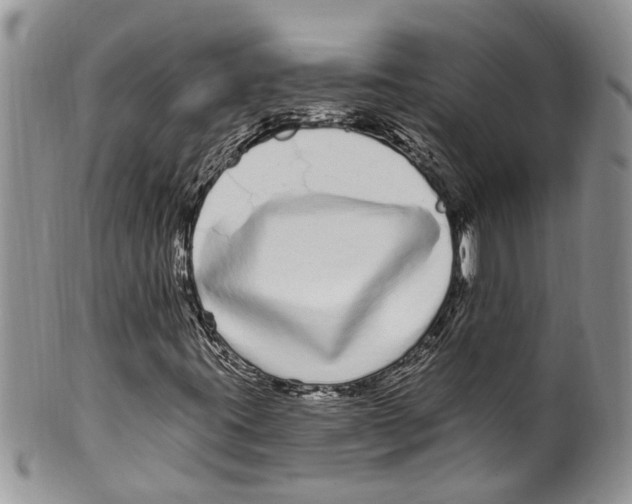 X0000099581395200806131308