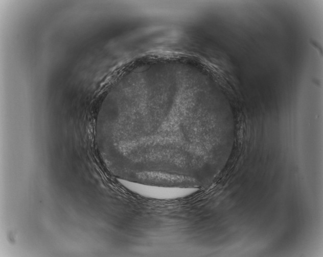 X0000099581397200806131308