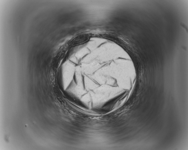 X0000099581398200806131308