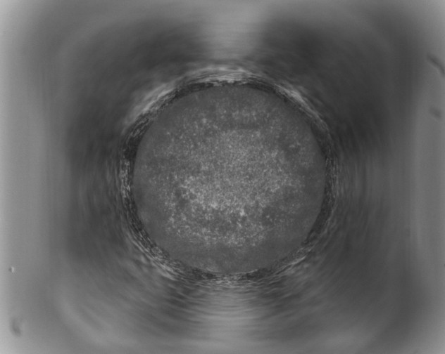 X0000099581399200806131308