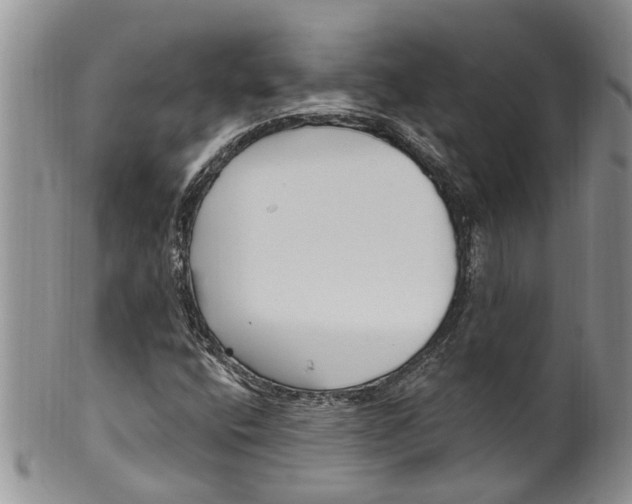 X0000099581400200806131308