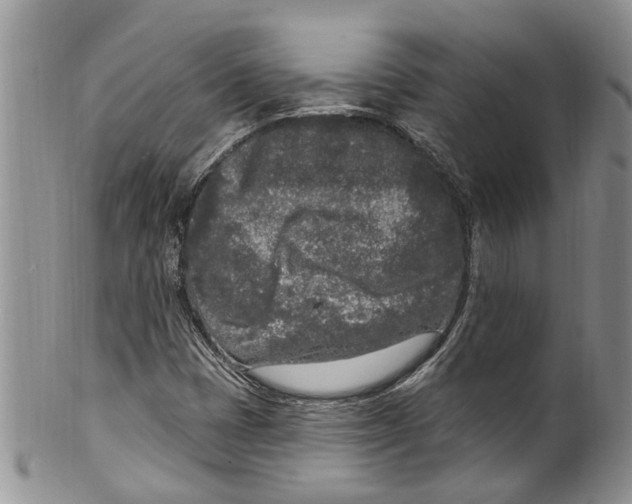 X0000099581401200806131308