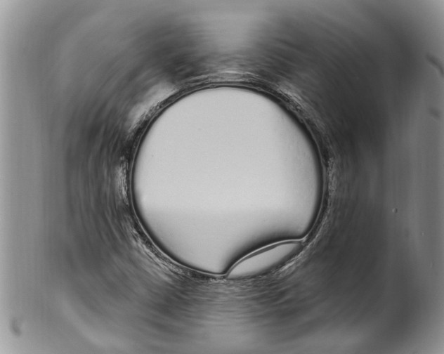 X0000099581402200806131308