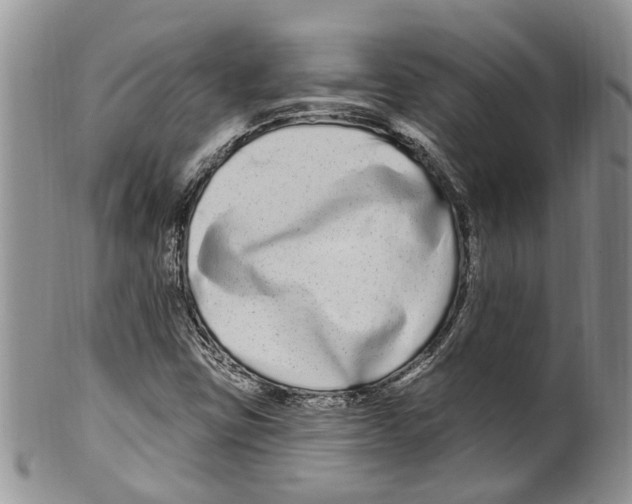 X0000099581403200806131308