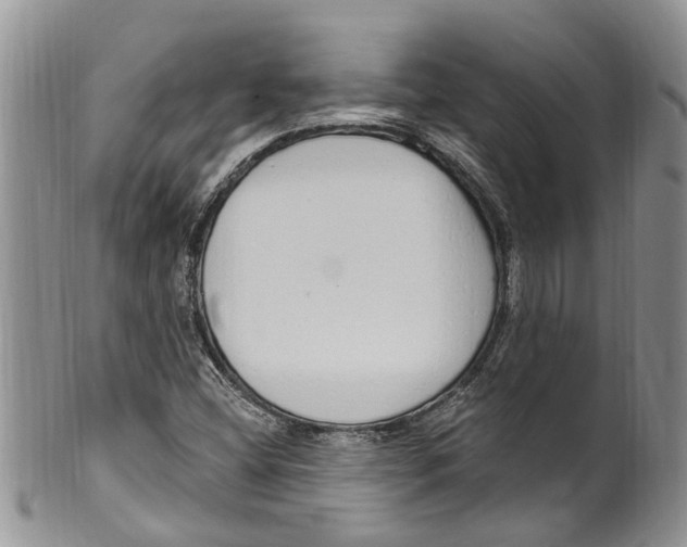 X0000099581404200806131308