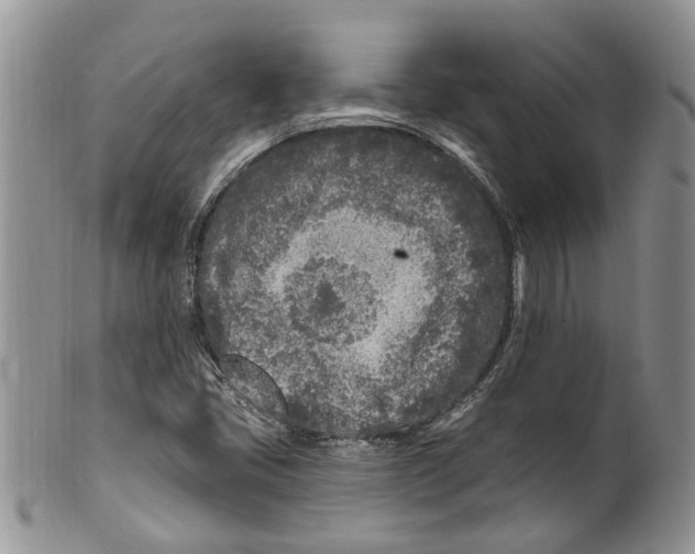 X0000099581405200806131308