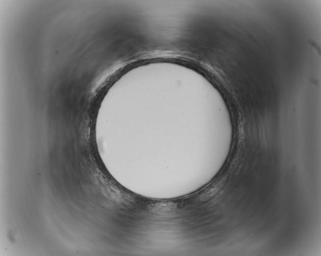 X0000099581406200806131308