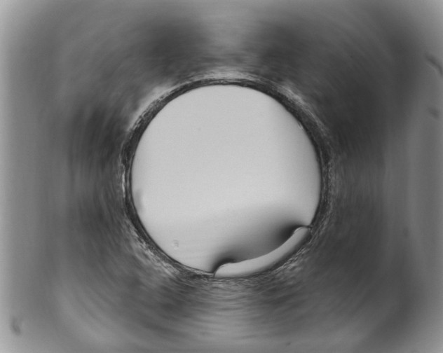 X0000099581408200806131308