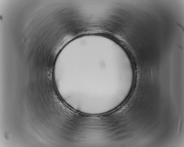 X0000099581409200806131308