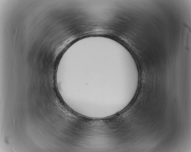 X0000099581410200806131308