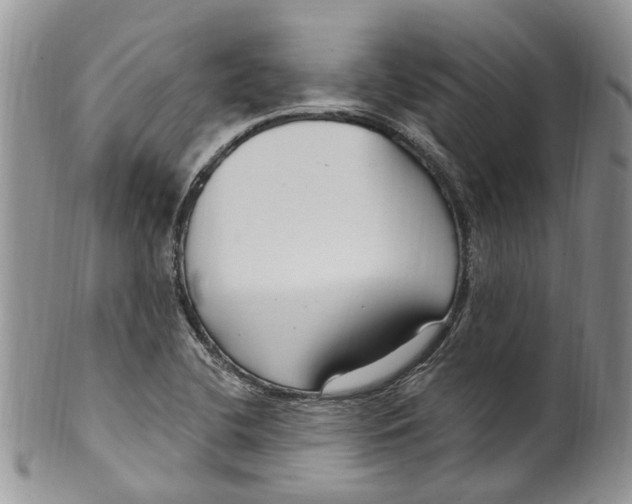 X0000099581412200806131308