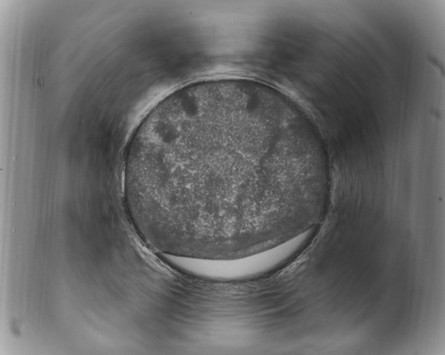 X0000099581413200806131308