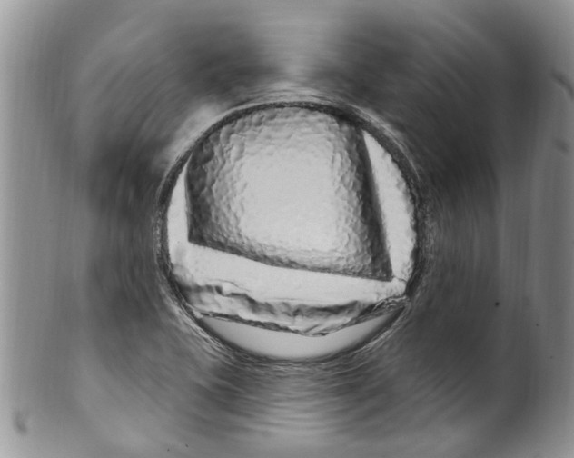 X0000099581415200806131308