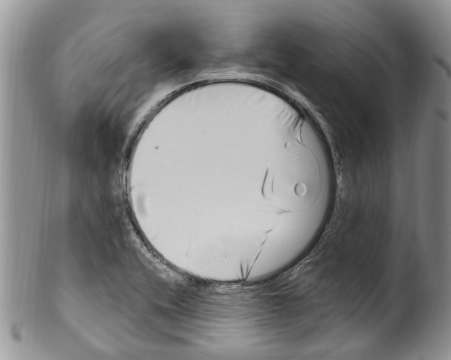 X0000099581416200806131308