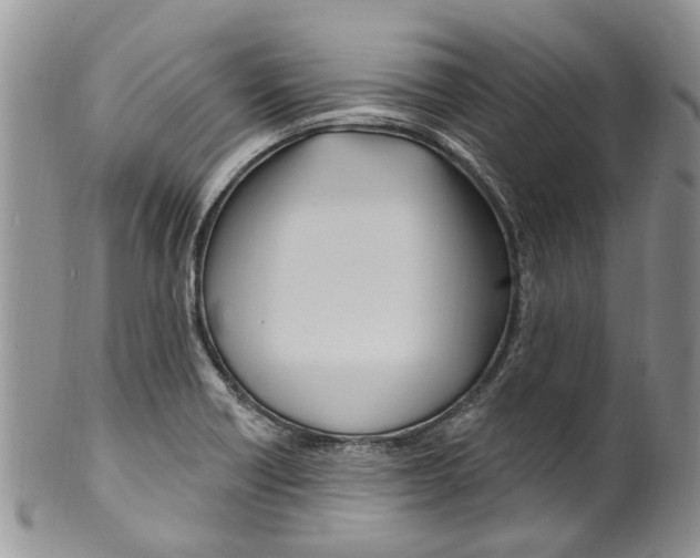 X0000099581418200806131308