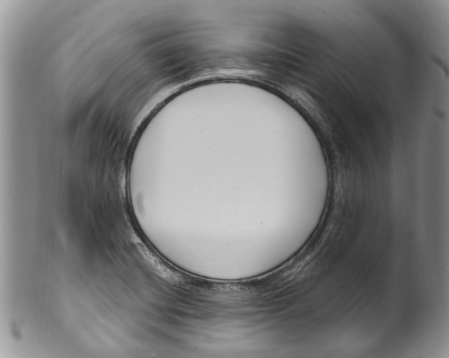 X0000099581420200806131308