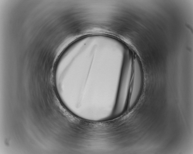 X0000099581421200806131308