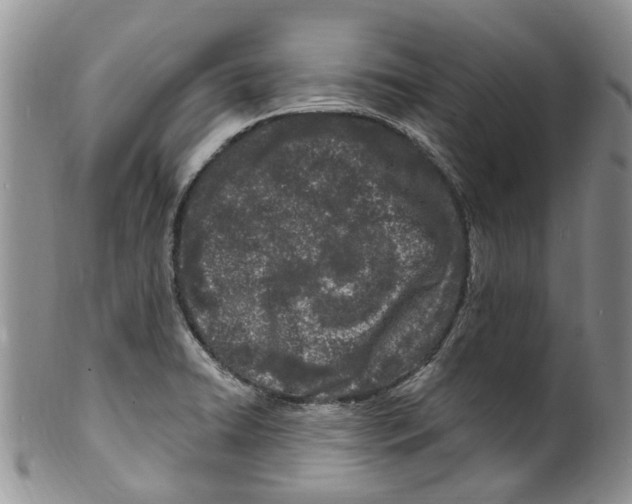 X0000099581422200806131308