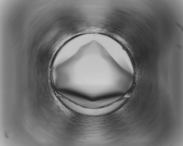 X0000099581423200806131308