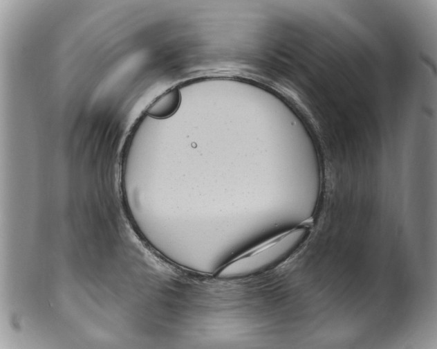 X0000099581424200806131308