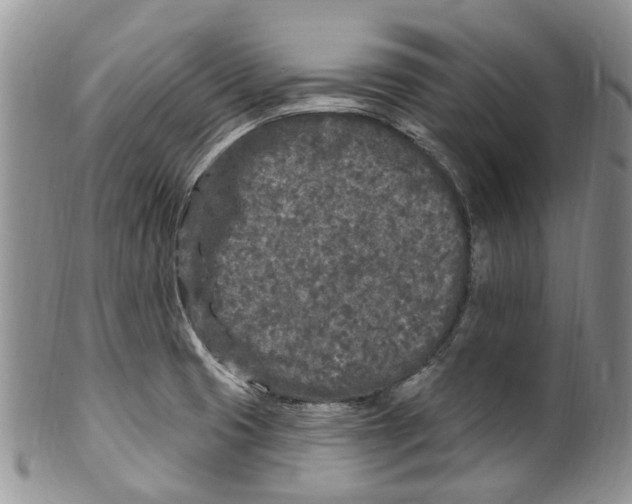 X0000099581425200806131308