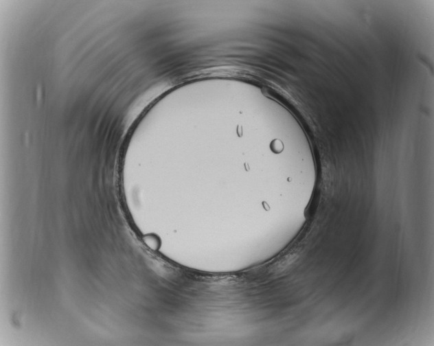 X0000099581426200806131308