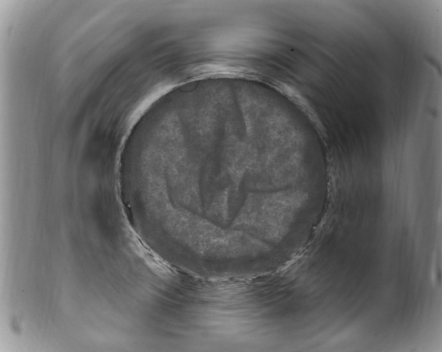 X0000099581427200806131308