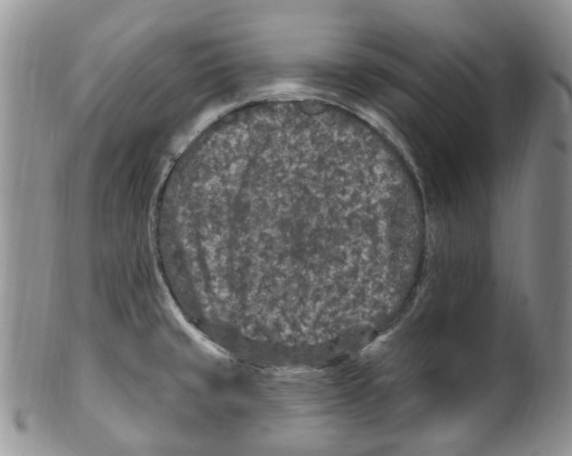 X0000099581429200806131308