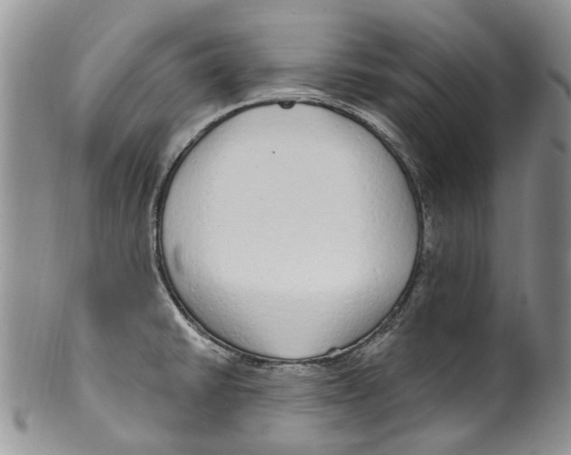 X0000099581430200806131308