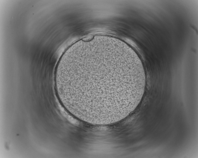 X0000099581431200806131308