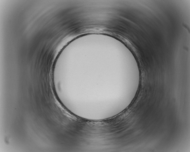 X0000099581432200806131308