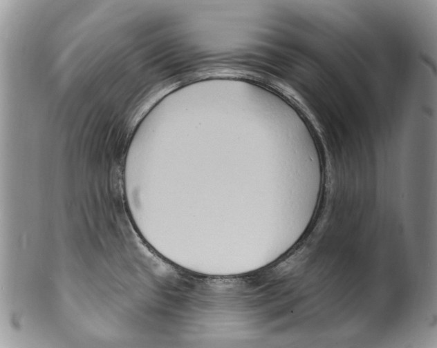 X0000099581433200806131308