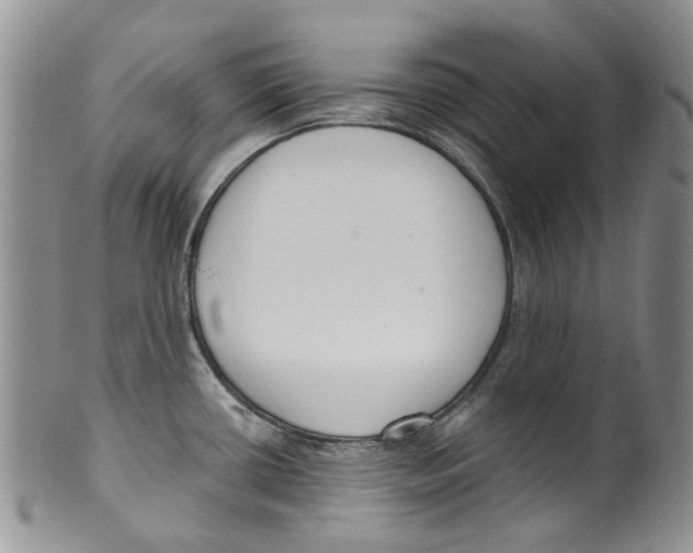 X0000099581434200806131308