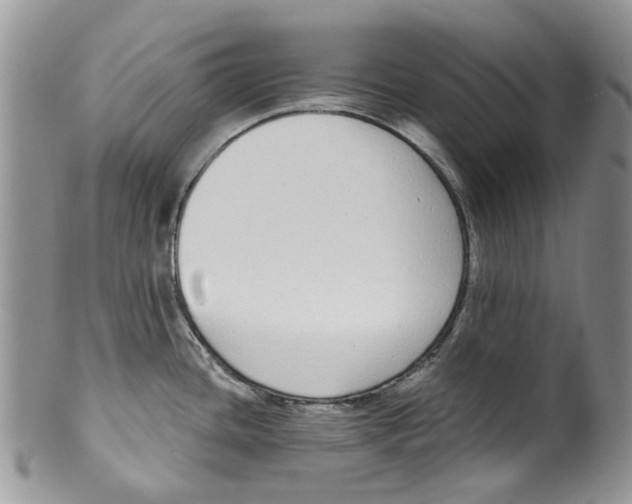 X0000099581436200806131308