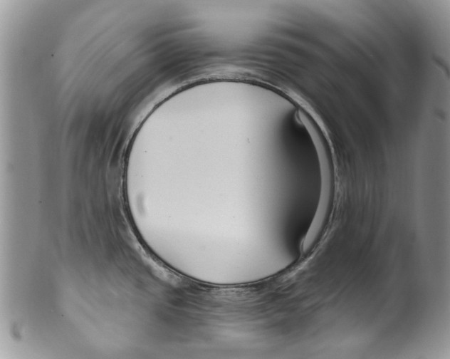 X0000099581437200806131308