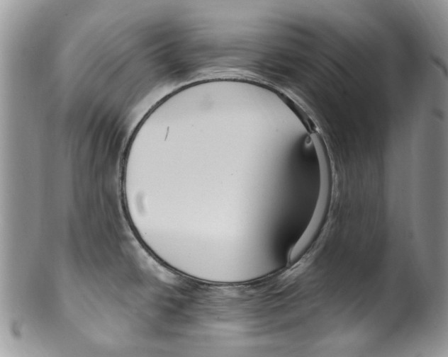 X0000099581438200806131308