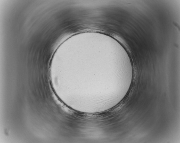 X0000099581439200806131308