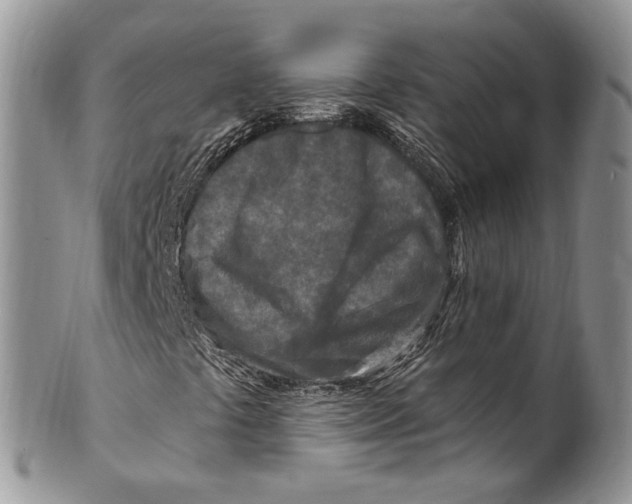 X0000099581441200806131308